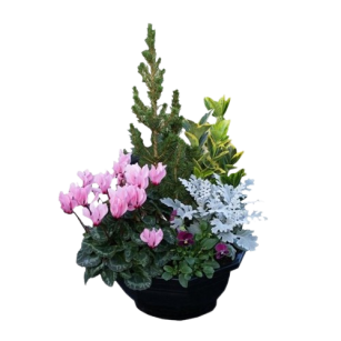 Widerstandsfähigkeit